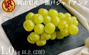訳あり 瀬戸ジャイアンツ 2房 合計1.0kg以上 産地直送 朝採れ ぶどう 葡萄 岡山 Kawahara green Farm 岡山県産 2026年