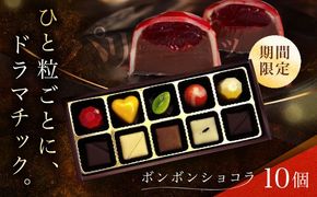 【2026年2月～発送】ボンボンショコラ 10個入り / チョコ チョコレート お菓子 バレンタイン / 南島原市 / 本田屋かすてら本舗 [SAW032]