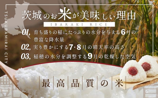 ＼ 選べる内容量 ／ 【 最短 翌日発送 】令和7年産 茨城県産 コシヒカリ 1kg 2kg 3kg 5kg 10kg 五つ星 お米マイスター 監修 こしひかり 国産 こめ コメ 米 精米 すぐ発送 人気 美味しい ランキング ふるさと納税 返礼品  [DW03-NT]
