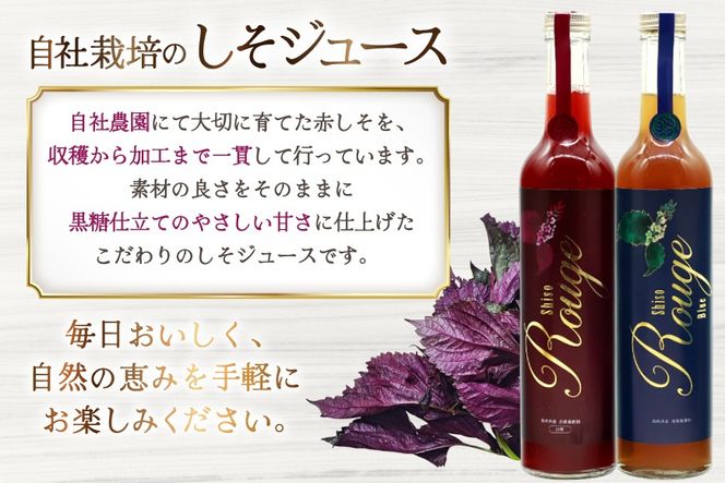 AJ307 感動の赤しそジュース 瓶 500ml 感動の青しそジュース 瓶 500ml [ しそジュース 紫蘇ジュース 赤しそ 青しそ 長崎県 島原市 ]