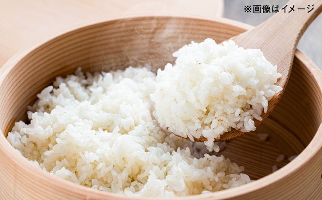 【令和7年産】 にこまる 玄米品質1等米 白米 5kg 糸島市産 糸島市 / 糸島の恵み コメ こめ ご飯[AGR001]