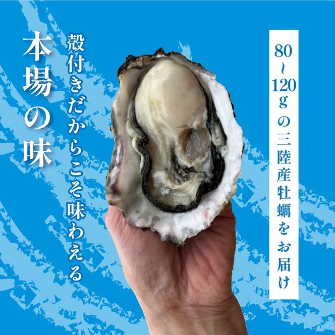 y茧DnszH Ⓚ y kty t y 1 ( 12 )  Ⓚ ʌ  JL kty [funamoto003]