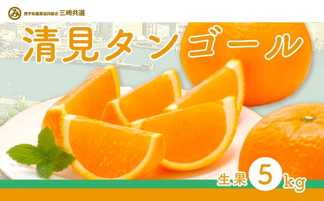 yQɕzys\z^S[i5kgjւ̔zsi2026N3{菇\j IKTBD015