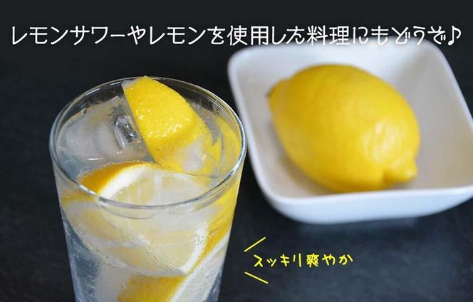 訳あり レモン B品  箱込2.5kg(内容量約2.3kg) 和歌山県有田産（サイズミックス）【みかんの会】  AX78