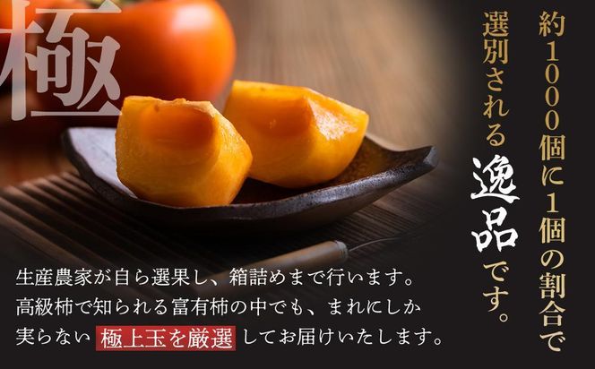 ［限定］ 富有柿 2kg～2.5kg 6個入 至高の逸品 約1000個に１個！［先行予約］［2026年11月初旬頃から発送］［KG5］ 303446_XM90005