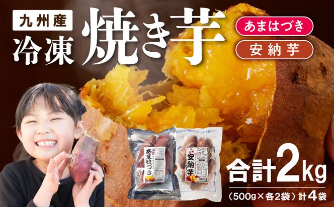 【先行予約】2026年10月より順次発送開始 あまはづき、安納芋焼き芋食べ比べセット N0152-YA1113