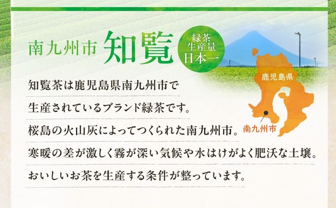 特上知覧茶ティーバッグ　K345-001