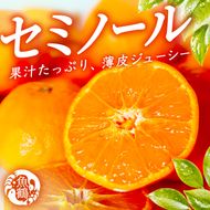 ［先行予約］ジューシー柑橘 セミノールオレンジ 5kg［UT149］ 303446_XF91192