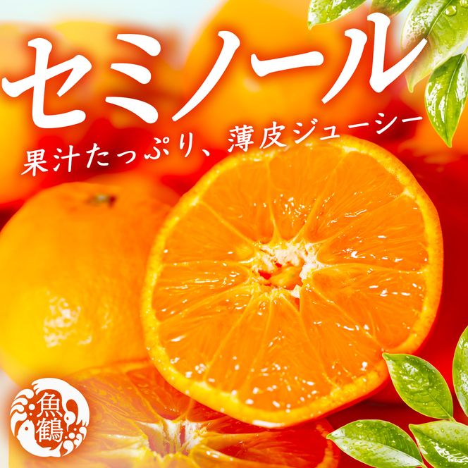 ［先行予約］ジューシー柑橘 セミノールオレンジ 5kg［UT149］ 303446_XF91192