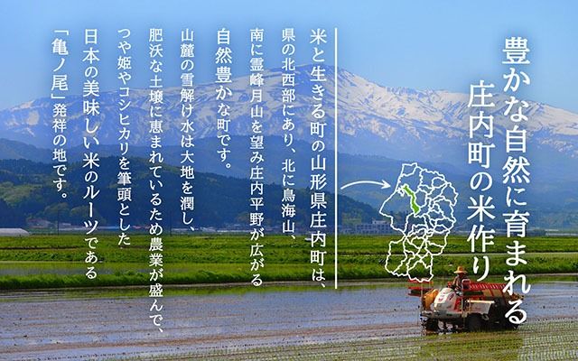 【新米受付 10月発送】R7年産 石垣農園の特別栽培米 つや姫 10kg（入金期限：2025.9.15）
