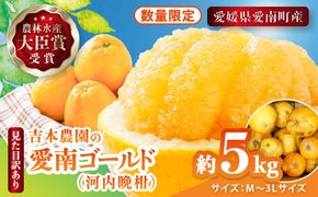 【先行予約】見た目だけが訳あり！吉本農園の木取り完熟愛南ゴールド（河内晩柑）約5kg＜柑橘 希少 果物 国産 フルーツ みかん 蜜柑 訳あり 家庭用 和製 グレープフルーツ ブランド 果実 ビタミン 愛媛県 鬼北町 ＞ ※2026年4月上旬～8月上旬頃に順次発送予定