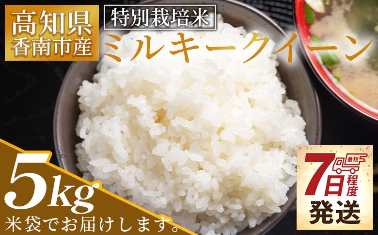 [7日程度で発送]特別栽培米 ミルキークイーン 5kg 高知県香南市産 防災 非常食 備蓄 sr-0001