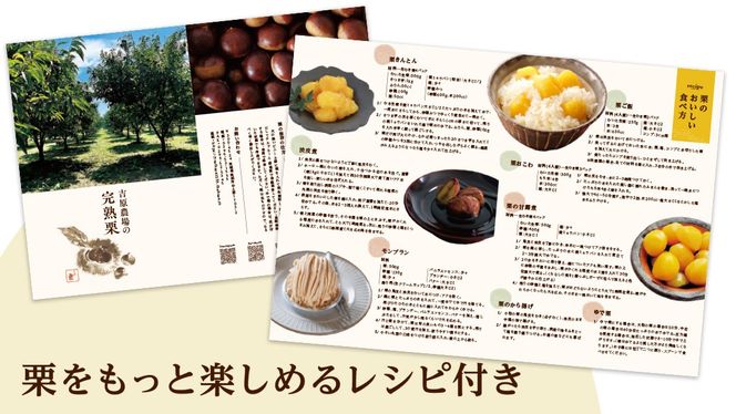 【 吉原農場 の 完熟栗 】熟成 栗 満喫 セット ( 栗の深雫 ラム 6個入り ) 令和7年産 栗の深雫 完熟  生むき栗 焼き栗 栗きんとん ラム くり クリ 栗ごはん おかし お菓子 果物 フルーツ 数量限定 旬 秋 冬 正月 おせち [CX033ci]