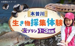 木曽川の生き物採集体験 (夜プラン) 1〜3名まで 体験 チケット 採集 愛西市 / 艶麗[AEDD008]