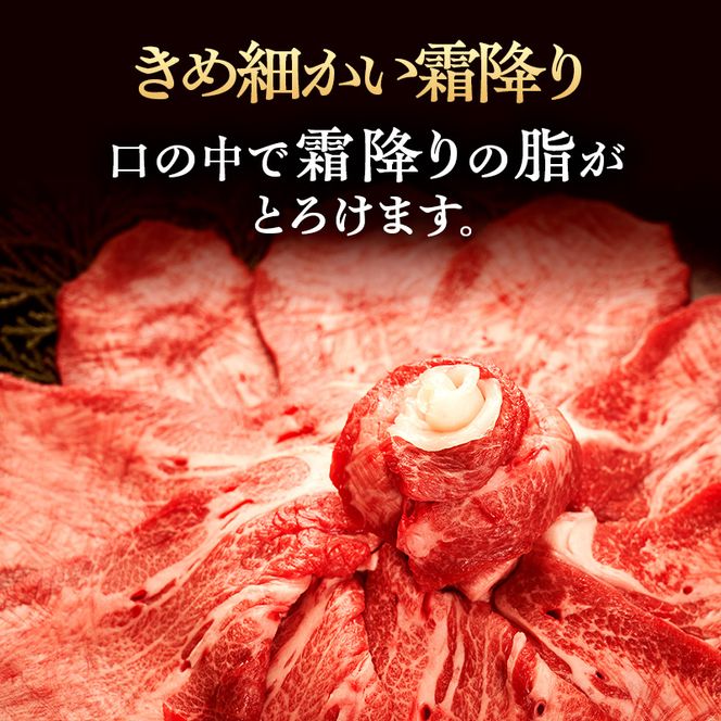 超希少部位　伊賀牛タン