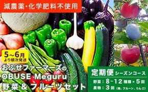 ［年8回定期便］ 農薬・化学肥料を使わずに栽培した野菜と減農薬栽培した果物 年8回定期便 OBUSE Meguru 野菜&フルーツセット シーズンコース［おぶせファーマーズ］おまかせ 野菜 やさい 詰め合わせ 8～12種類 果物 フルーツ 3種類 長野 信州 数量限定 産地直送 令和7年産 【2025年5～6月より順次発送予定】 [FY-4]
