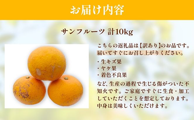 【訳あり】浅野農園のサンフルーツ 10kg ※離島への配送不可 IKTAC011