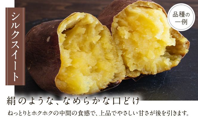 さつまいも の 食べ比べ 3品種（3kg）【2026年10月から発送開始】 （茨城県共通返礼品 [さつまいも]：行方市産） 生芋 芋 いも 野菜 べにはるか 紅あずま シルクスイート 紫芋 [BI415-NT]