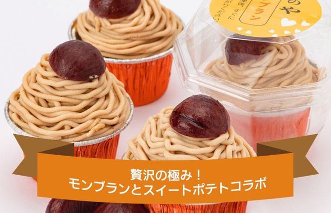 099H1062m 【母の日】大人気！高級渋皮栗1.5個と芋匠さのや自慢のスイートポテトが入ったモンブラン！400g（4個×100g）