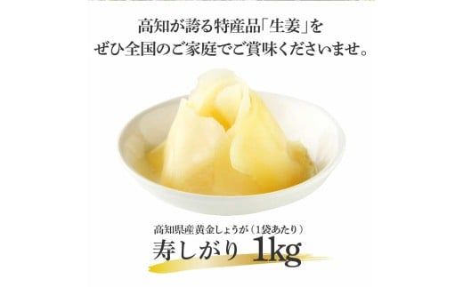 【CF-R7hbk】国産黄金しょうが寿しがり1kg×1袋 -  ガリ しょうが ショウガ 生姜 坂田信夫商店 黄金しょうが 国産 お寿司 付け合せ 寿司用がり ふるさとのうぜい 故郷納税 7000円 返礼品 高知