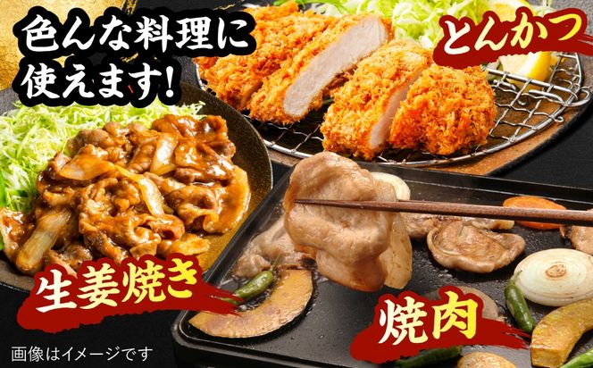 JA糸島 糸島豚 焼肉 トンカツ 生姜焼き セット 糸島市 / JA糸島産直市場 伊都菜彩 [AED003] 豚肉 詰め合わせ セット ブタ ぶた ロース 豚バラ とんかつ 冷凍