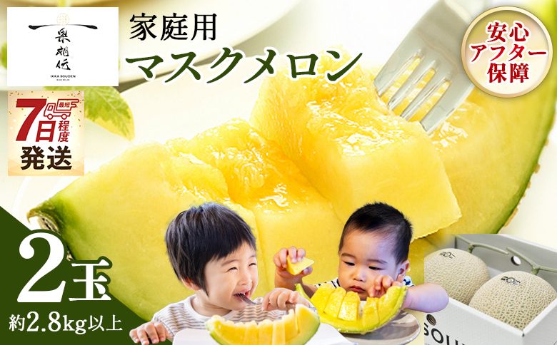 メロン 家庭用 2玉入り [7日程度で発送]一果相伝マスク 最短配送 果物 フルーツ ギフト 家庭用 美味しい 甘い ケーキ あまい 産地直送 4月 5月 父の日 母の日 高知県 香南市 常温 tn-0063