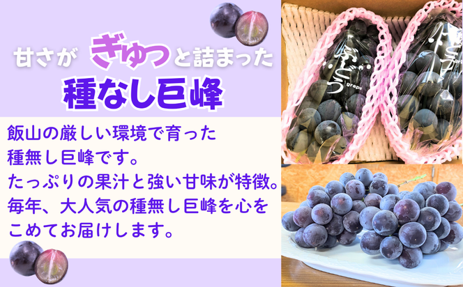 【先行予約丨2026年9月上旬より順次発送】種なし巨峰【約1kg(2房あたり)】(At-005)丨長野県 飯山市 おすすめ ランキング おいしい 高評価 大人気 先取り 産地直送 ぶどう 巨峰