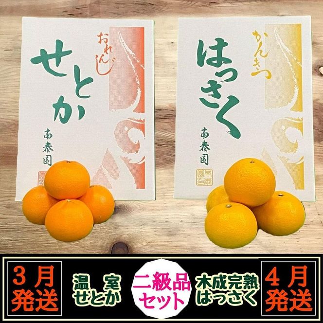 定期便 春に楽しむ ハウス せとか ＆ 木成 完熟 有田 はっさく 傷あり 二級品 セット 全2回 南泰園 BS214