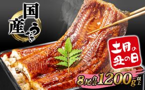 【土用の丑の日までにお届け】うなぎ 蒲焼 8尾 1,200g以上 国産 鰻 人気 うなぎ蒲焼き うな重 簡易袋 魚 魚介 ギフト K2393