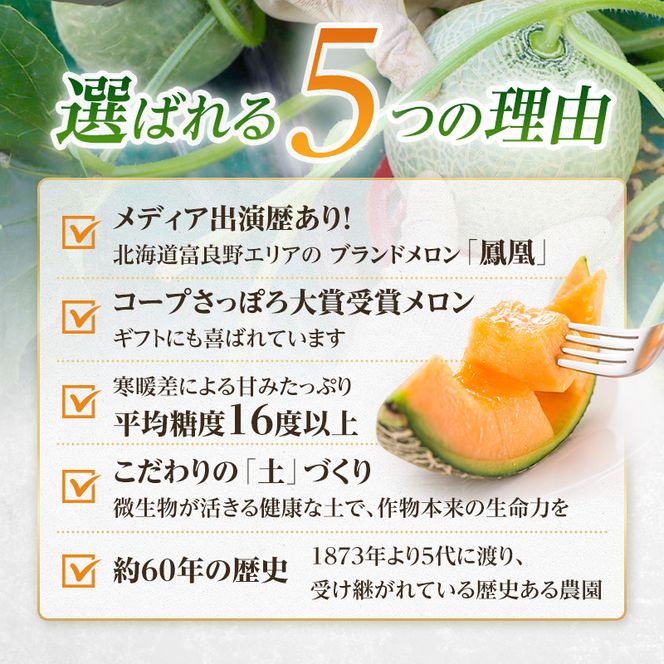 【2026年夏発送】〈桐箱入〉富良野メロン 山部の絶品『鳳凰』3L 2玉 計4kg以上 メロン 大玉 赤肉 北海道