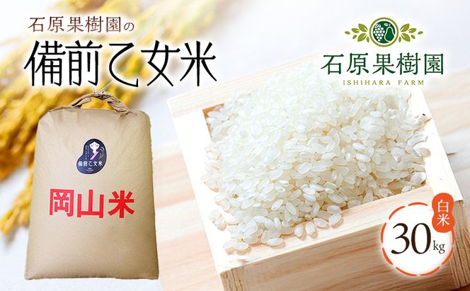 米 令和7年産 石原果樹園の備前乙女米 白米 30kg×1袋 ※11月上旬～順次発送予定 お米 精米 白米 ライス  乳酸菌栽培 岡山県 おにぎり お弁当 