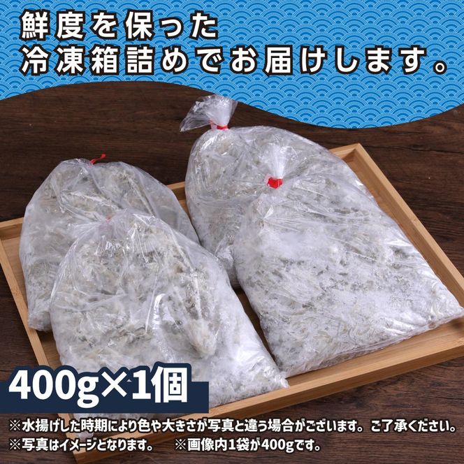 【CF-R7hbk】MMK015 訳あり釜揚げシラス400g×1個 高知県産 釜揚げしらす 簡易梱包 わけあり 不揃い シラス 国産 釜揚げ 新鮮 しらす丼 海鮮丼 お茶漬け 冷凍配送 塩分控えめ お取り寄せ