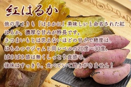 ＜数量限定！ 国富町産 熟成紅はるか 約5kg＞翌月末迄に順次出荷【a0611_mf】