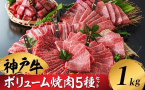 神戸牛 ボリューム焼肉セット 肩ロース 肩 モモ バラ 赤身角切り 1kg / 焼肉 食べ比べ 牛肉 小分け (200g×5種) 密着包装 赤身 霜降り国産牛 焼肉セット 焼き肉 冷凍 国産牛 ブランド牛 黒毛和牛 神戸ビーフ 化粧箱入り ギフト【帝神志方ミート】/ 翌々月にお届け