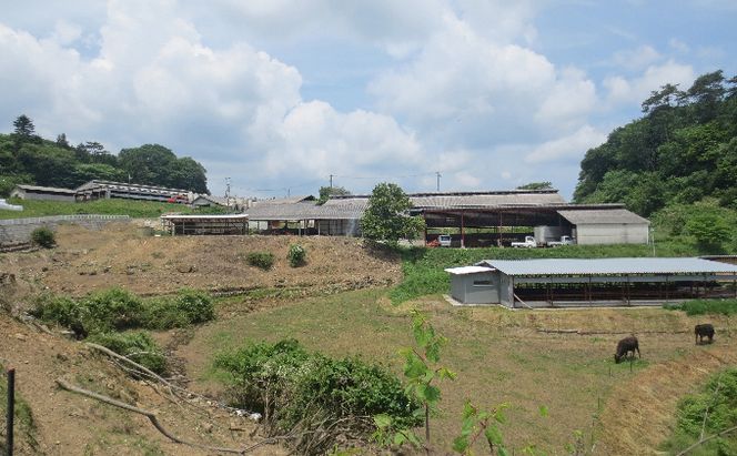 ［農林水産大臣賞受賞］備中牛 和牛焼肉セット 1.6kg お肉 牛肉 ロース モモ バラ 