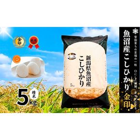 米 コシヒカリ 金印 5kg 精米 白米 お米 魚沼産コシヒカリ 新潟米 新潟 十日町市