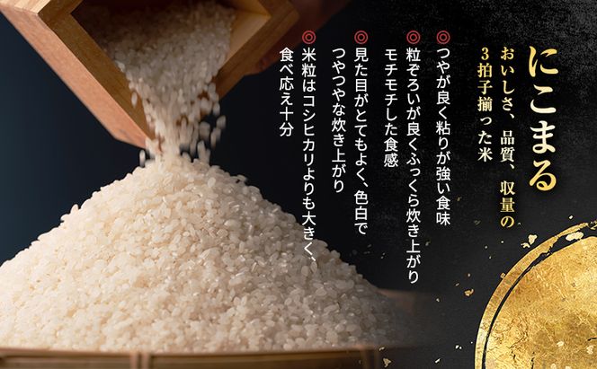 令和7年産 特別栽培米 にこまる 白米 2kg 精米 お米 こめ コメ ごはん ご飯 単一原料米