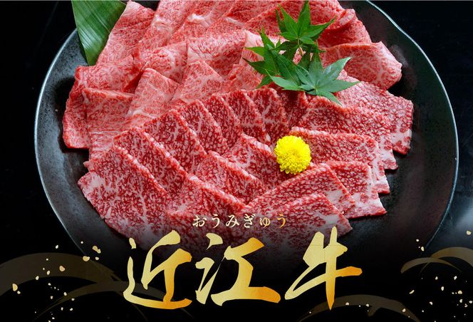 【げんさん】近江牛A5ランク焼肉美味セット【800g】【DG10W】