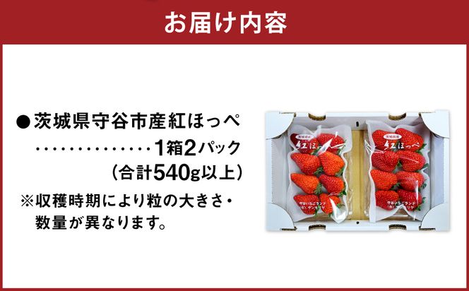 【先行予約】紅ほっぺ 1箱 2パック（合計540g以上） ※2027年2月～発送 | いちご 苺 フルーツ 果物 くだもの 果実 完熟 冷蔵 守谷市産 茨城県 守谷市