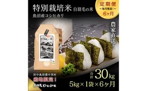 【通年受付】≪令和8年産≫【定期便／全6回】農家直送！魚沼産コシヒカリ特別栽培「白羽毛の米」精米(5kg×1袋)×6回 30kg お米