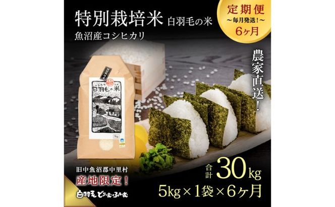 【通年受付】≪令和8年産≫【定期便／全6回】農家直送！魚沼産コシヒカリ特別栽培「白羽毛の米」精米(5kg×1袋)×6回 30kg お米