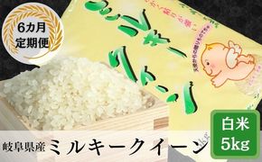 AK-24a 【6か月定期便】岐阜ミルキークイーン5kg