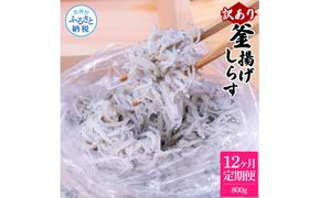 【CF-R7hbk】t202mmk　〈12ヶ月定期便〉訳あり 釜揚げシラス 800g 定期便 定期コース 12ヶ月 しらす シラス 釜揚げ 新鮮 塩分控えめ 離乳食 わけあり ワケあり 不揃い しらす丼 海鮮丼 お茶漬け