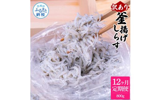 【CF-R7hbk】t202mmk　〈12ヶ月定期便〉訳あり 釜揚げシラス 800g 定期便 定期コース 12ヶ月 しらす シラス 釜揚げ 新鮮 塩分控えめ 離乳食 わけあり ワケあり 不揃い しらす丼 海鮮丼 お茶漬け