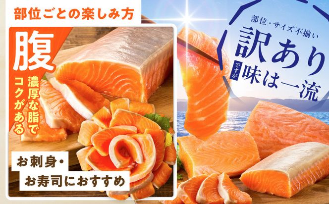 010B1719 【高評価】サーモン 1kg ポーション【訳あり サイズ不揃い 刺身 海鮮丼 さーもん サラダ カルパッチョ 鮭 さけ シャケ しゃけ 人気 オススメ 小分け 冷凍 家計応援】
