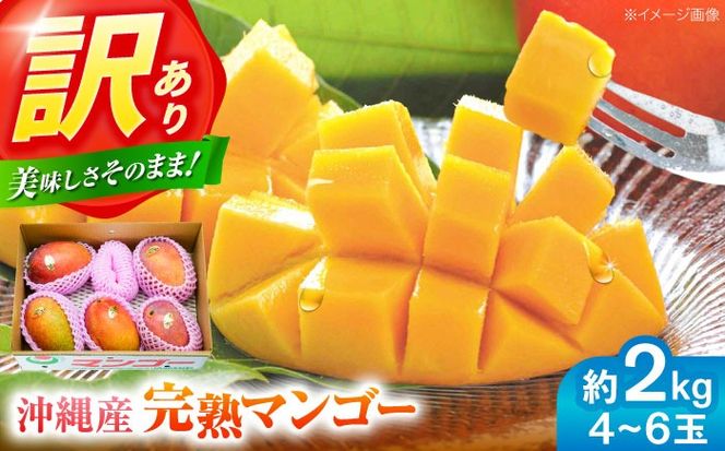 yꌧszys\ 2026N \tz 󂠂 n}S[ 2kg (4`6ʓ) }S[  ʕ t[c Mtg s / Ղ`s [BCAA002]