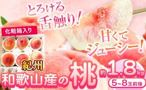 【先行予約】桃 もも 紀州 和歌山産 の 桃 1.8kg 化粧箱入 魚鶴商店《2026年6月下旬-8月上旬より発送予定》 和歌山県 日高川町 贈り物 ギフト---wshg_cuot149_6g8j_25_17000_18g---