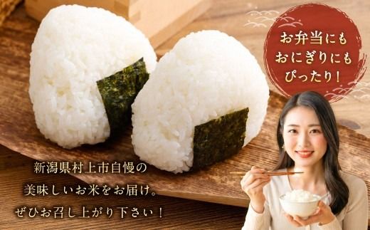 【新米受付・令和8年産米】新潟県村上市岩船産　棚田米コシヒカリ「たかねの花」5kg　1104001N