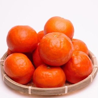 ［先行予約］厳選 セミノールオレンジ2.5kg+250g（傷み補償分）［春みかん］［有田産］［光センサー食べ頃出荷］［IKE153］ 303446_BB97274