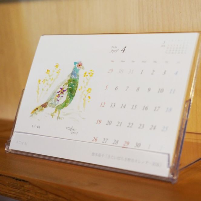 【数量限定】【徳本萌子】きたいばらき 野鳥カレンダー（2026年4月はじまり）【ポストカード 卓上 絵 水彩画 風景画  渡り鳥 自然 インテリア 北茨城市 茨城県】(DK001)